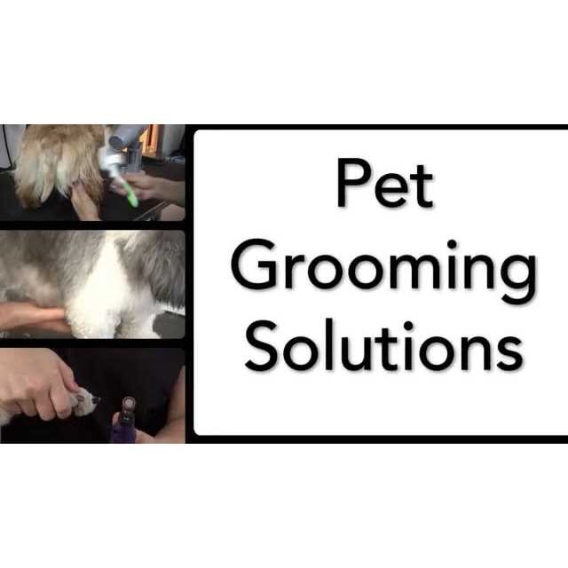 Andis ProClip AGC Pet Hair Clipper Kit - Pet Supplies online store