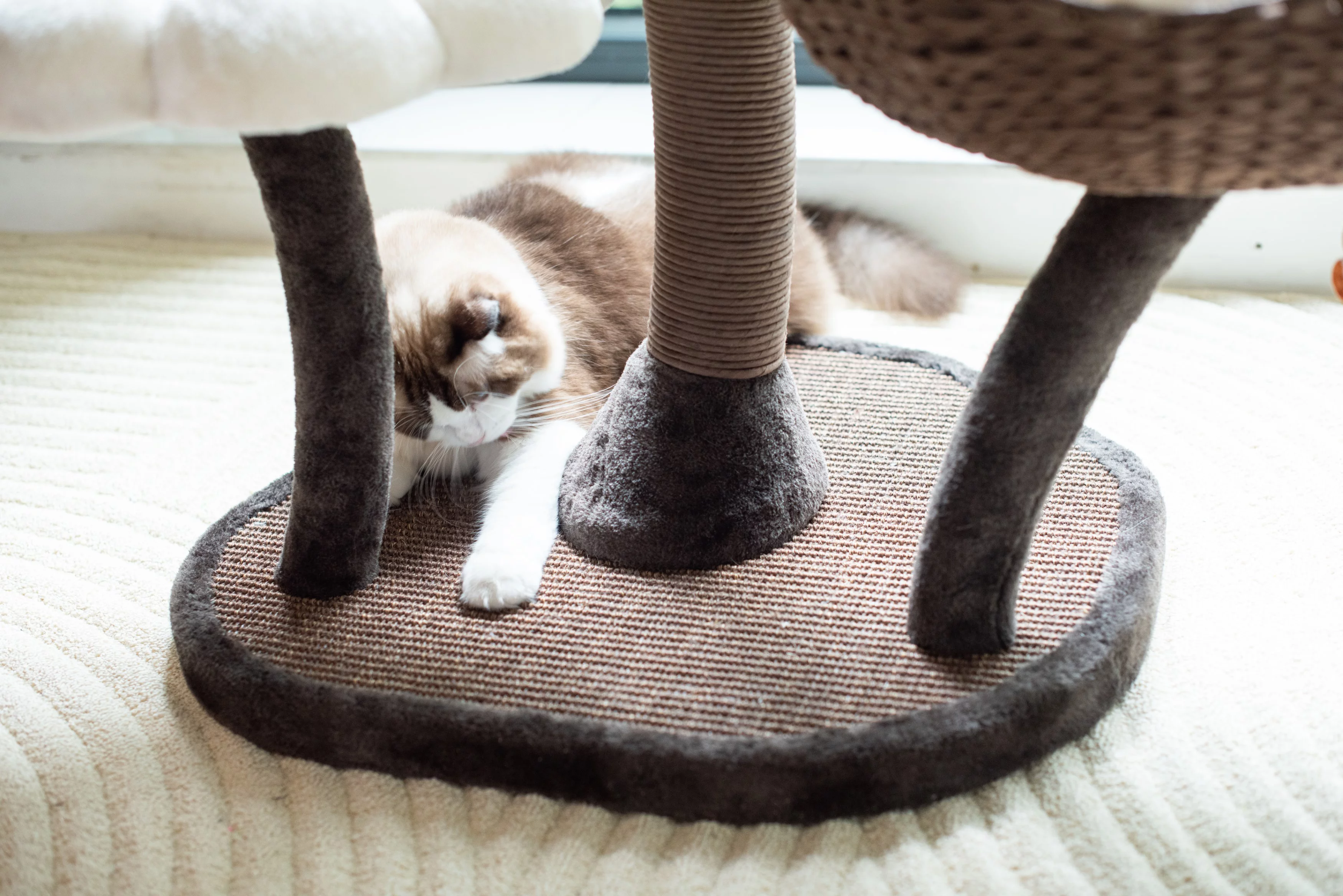 Catry 59" Natural Blossom Flower Woven Tree Branches Large Cat Tree 6-Level Cat Tower w/ Hammock Foam-Padded Perches Basket for Large Adult Cats Play House Indoor Climbing Modern Cat Furniture