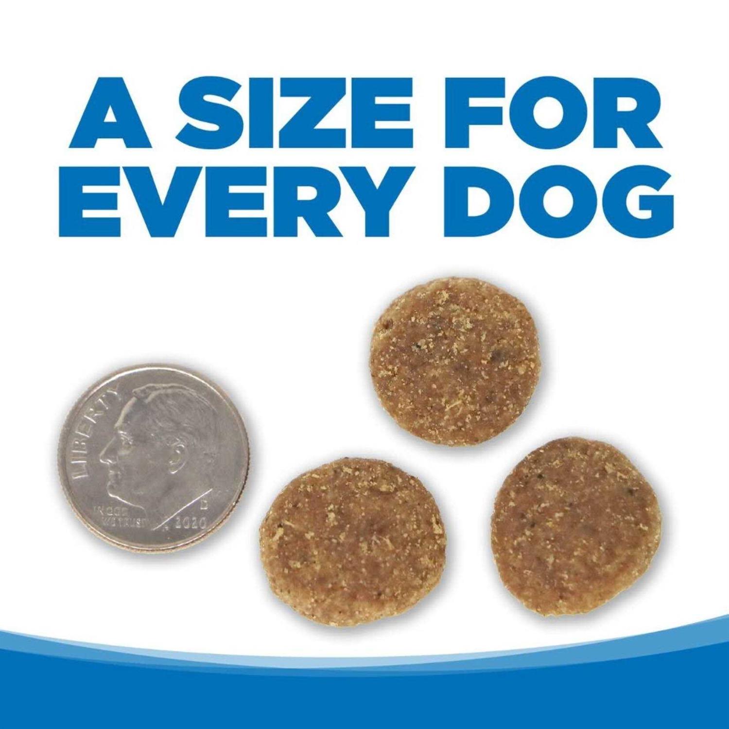 NutriSource Adult Large Breed Chicken &amp; Rice Dry Dog Food - Pet Supplies online store