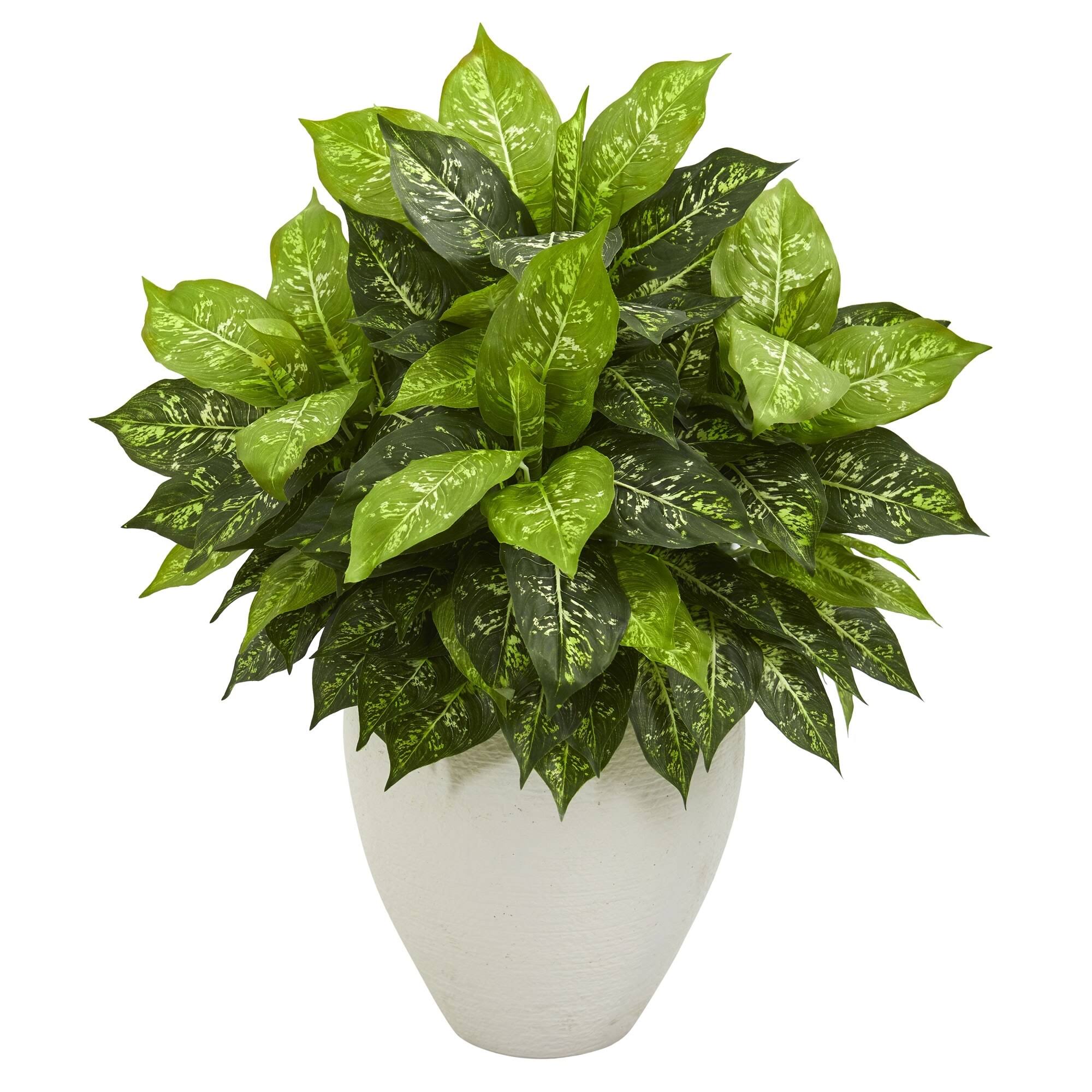 Dieffenbachia Artificial Plant in White Planter - As Pictured