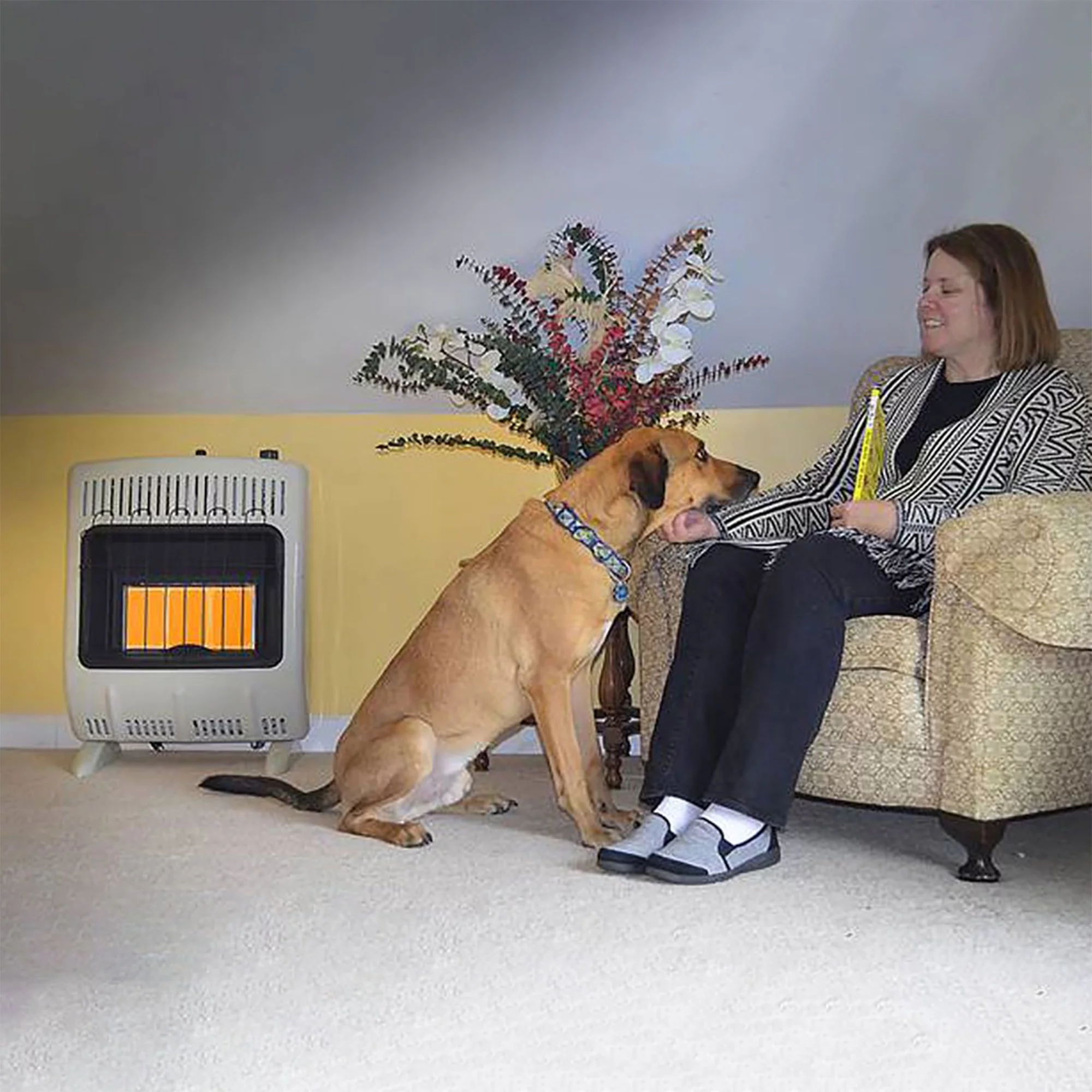 Mr. Heater 18000 BTU Vent Free Propane Indoor/Outdoor Heater (2 Pack)