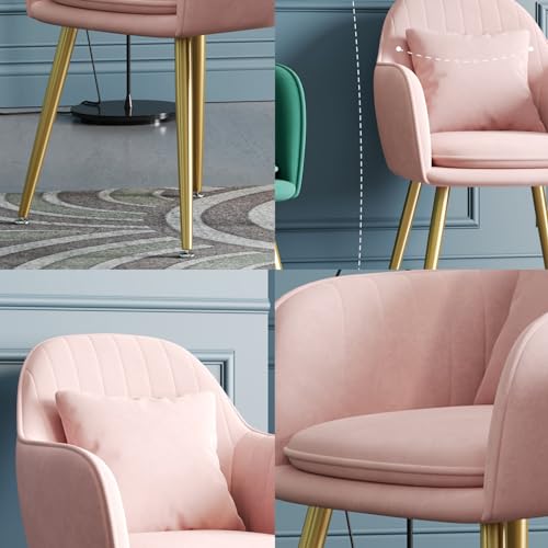 Leather Kitchen Chairs Modern Style Lazy Makeup Stool Livingroom Furniture Hotel Nail Shop Sofa Chair Nordic Dining Chair Backrest Flannel Fabric Chair armrest Dining Chair Velvet (Color : C)
