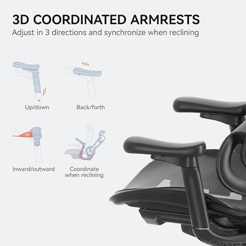 SIHOO Doro C300 Ergonomic Office Chair with Ultra Soft 3D Armrests, Dynamic Lumbar Support for Home Office Chair, Adjustable Backrest Desk Chair, Swivel Big and Tall Office Chair, Computer Chair Grey