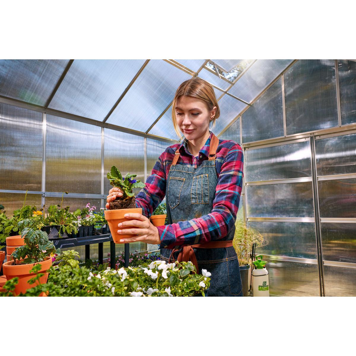 ONE STOP GARDENS 10 ft. x 12 ft. Greenhouse with 4 Vents