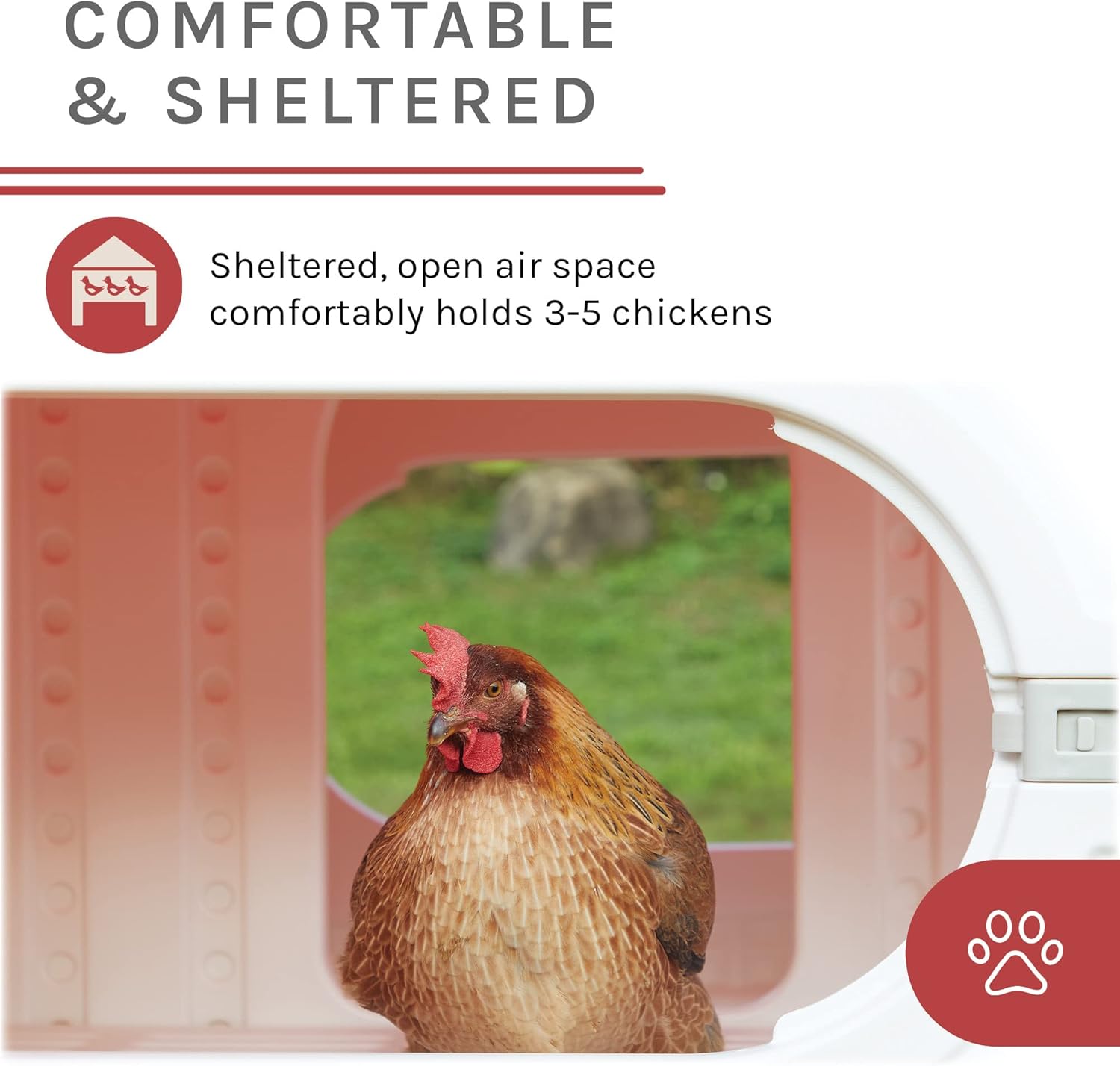 Sam's Pets Kuritsa 82" Chicken Coop - Outdoor Hen House, Multilevel, Spacious Nesting Box, Slide-Out Tray, Fits 5 Chickens