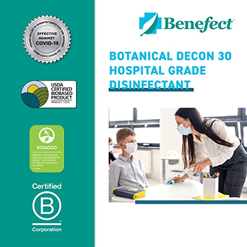 Benefect Decon 30 All-Natural Spray Disinfectant and Multipurpose Cleaner, Pump Spray Bottle, 4 ounce
