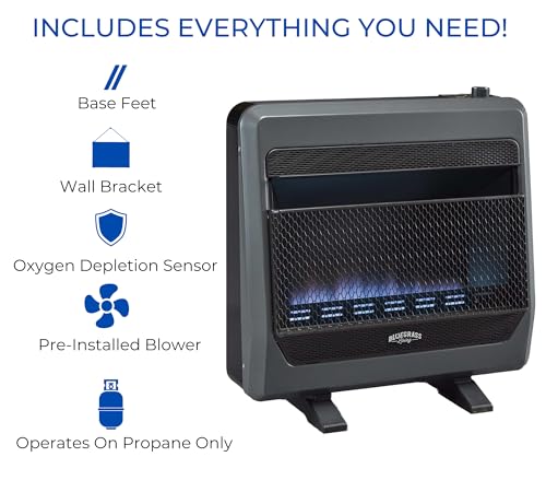 Bluegrass Living Natural Gas Vent Free Blue Flame Gas Space Heater with Blower and Base Feet