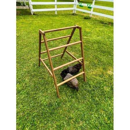 Zylina Play-N-Roost Roosting Ladder - Shop Hardware Tools Online Store