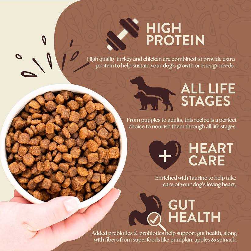 Earthborn Holistic Primitive Natural Grain Free Dry Dog Food - Pet Supplies online store