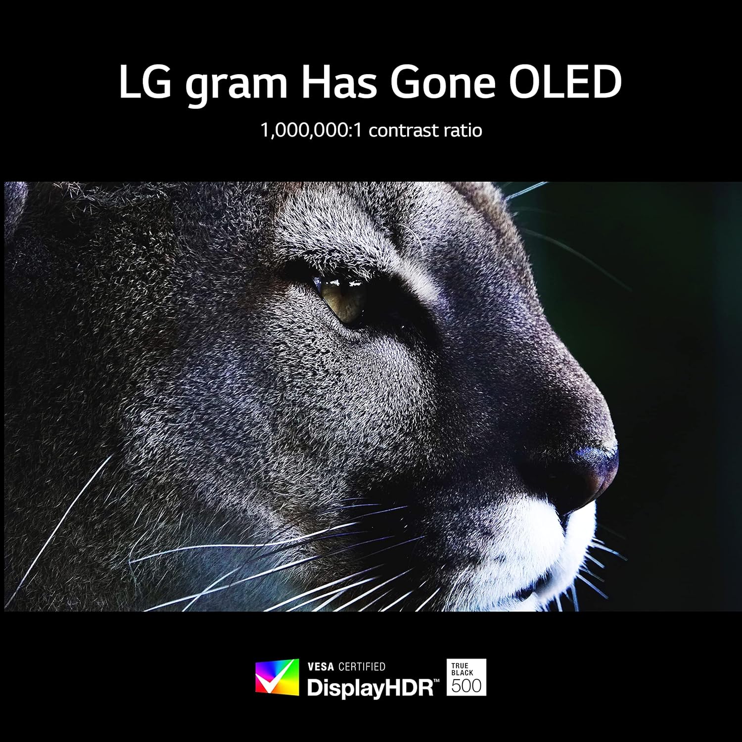 LG gram Style 14” OLED Laptop, Intel 13th Gen Core i7 Evo Platform, Windows 11 Home, 32GB RAM, 1TB SSD, Dynamic White (Renewed)