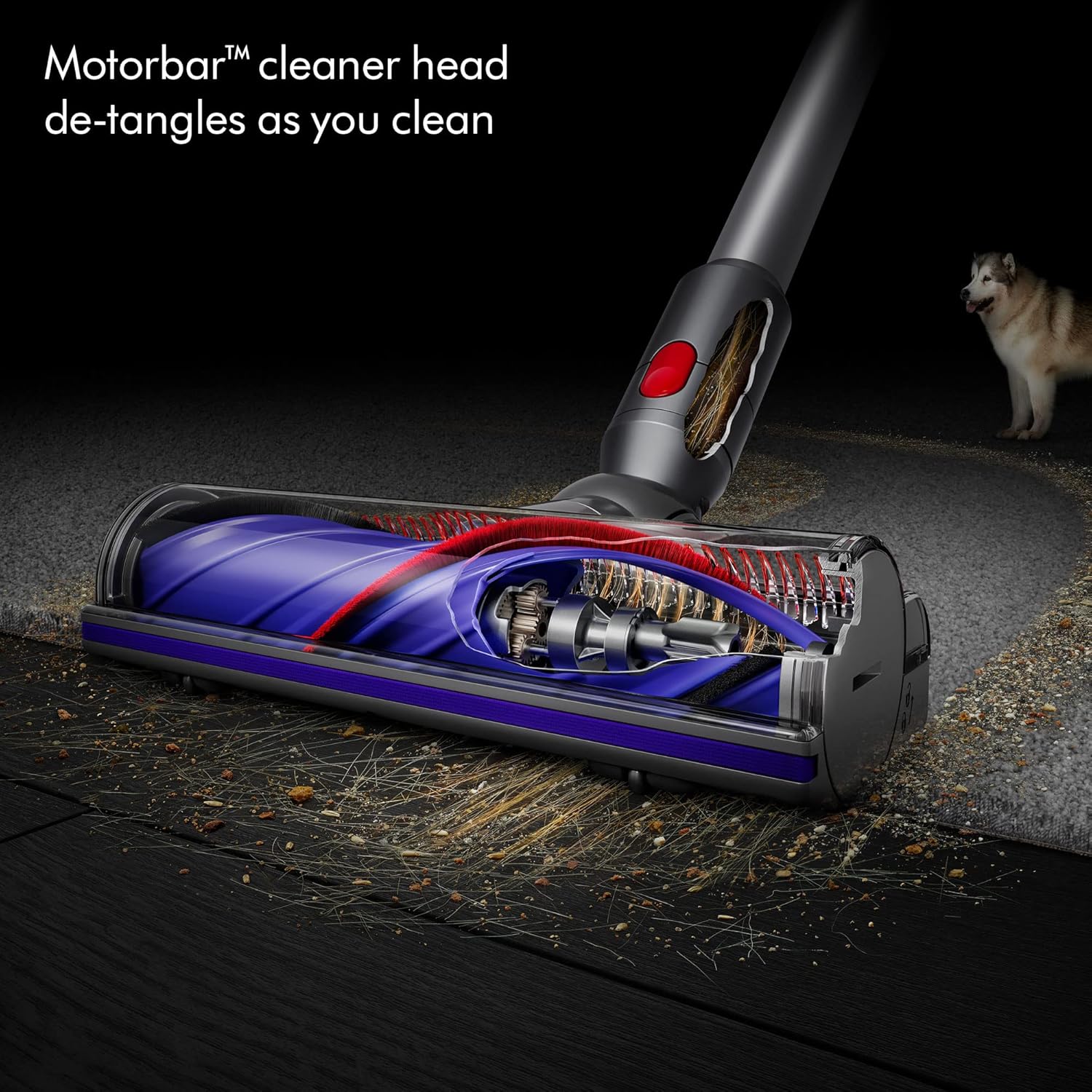 Dyson V11 Cordless Vacuum Cleaner, Nickel/Blue (Renewed)