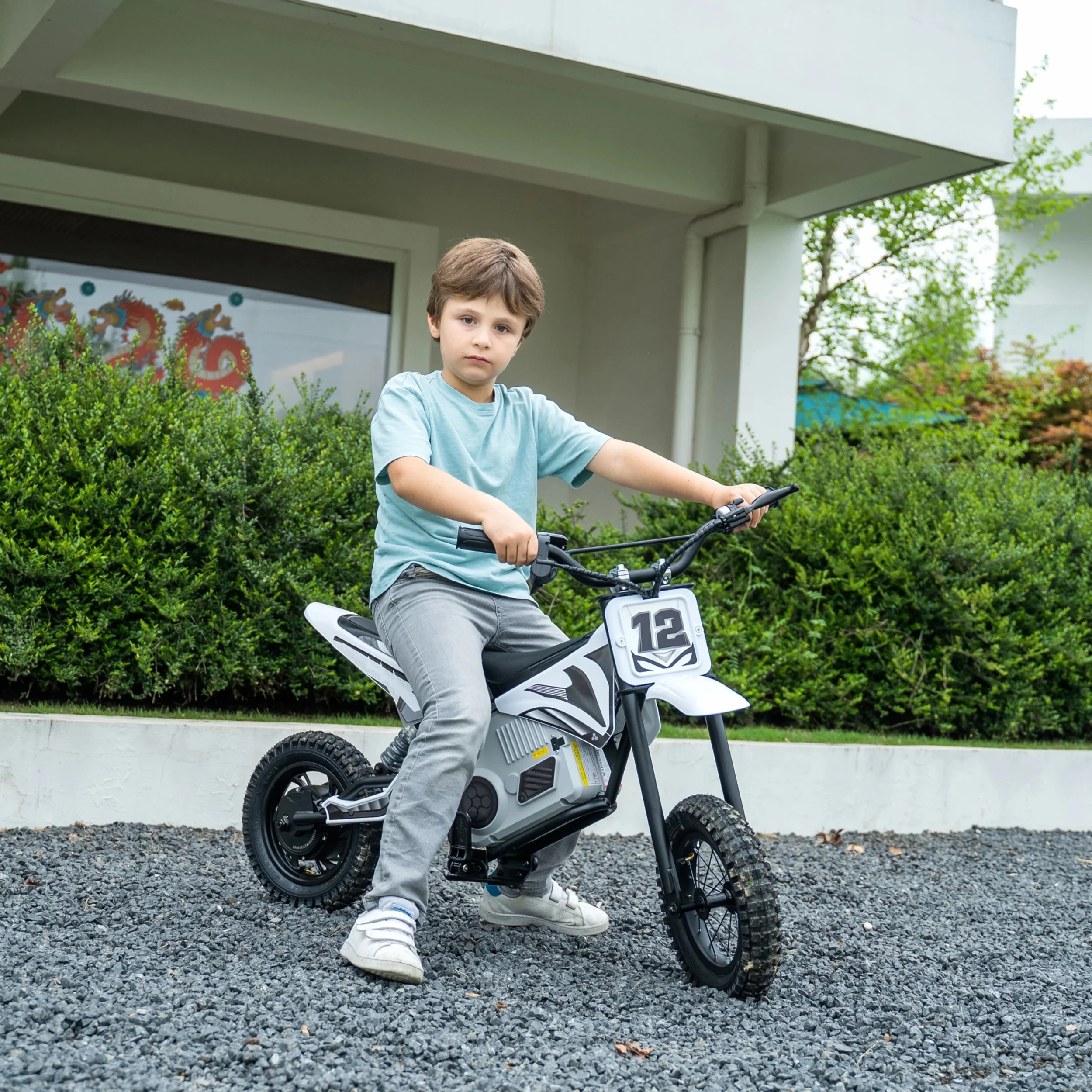 Freddo 36V Electric Dirt Bike with Brushless Motor - Curated Treasures Market