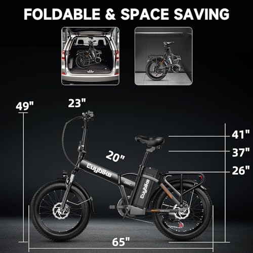1000W Folding Electric Bike, 48V 20AH Large Removable Battery E Bike, 30+MPH, 80 Miles Max Range, 20" Fat Tire Electric Bike for Adults, Adult Electric Bicycles for Commute Beach Snow