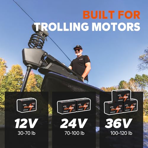 LiTime 12V 100Ah LiFePO4 Battery BCI Group 31 Lithium Battery Built-in 100A BMS, Up to 15000 Deep Cycles, Perfect for RV, Marine, Home Energy Storage