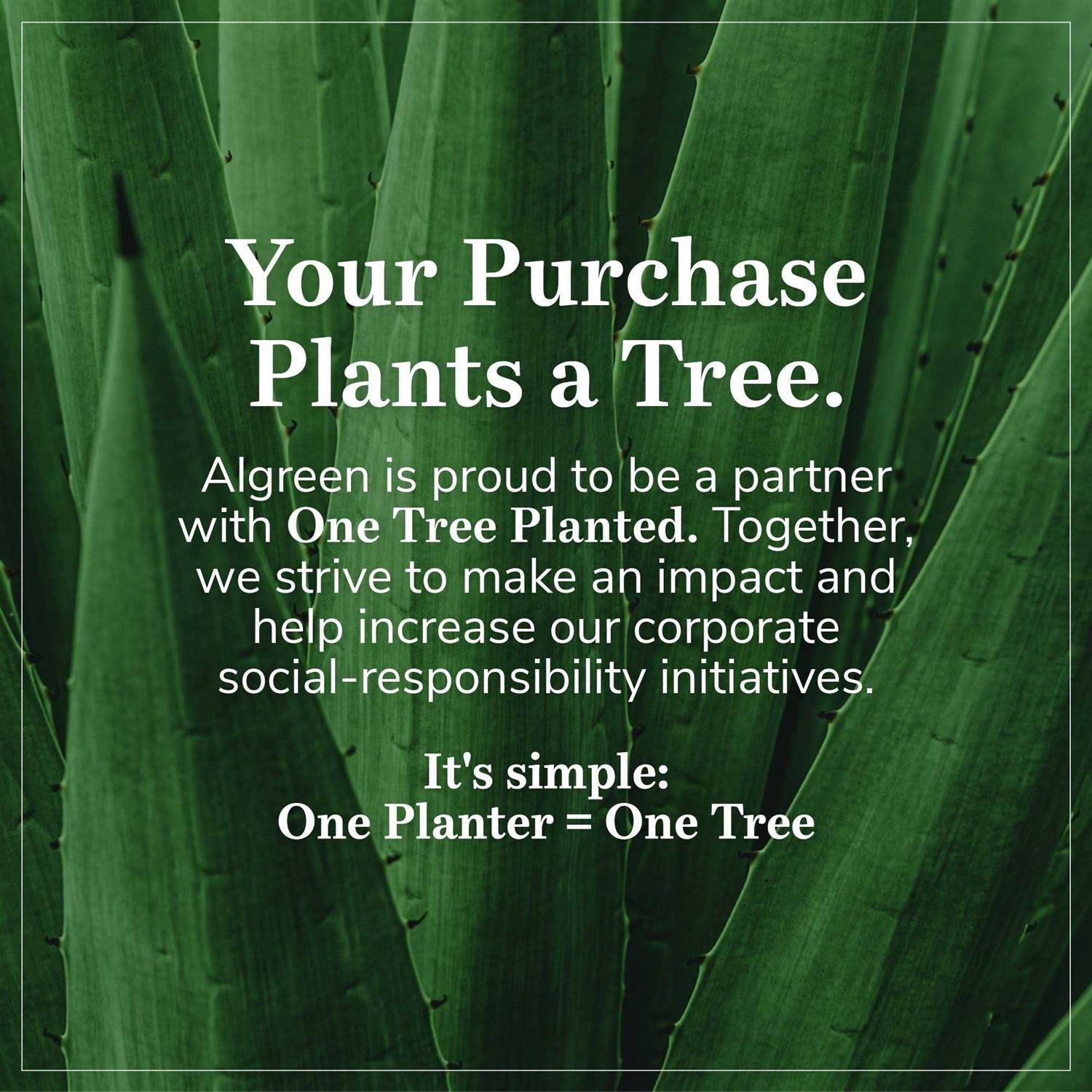 Algreen Athena Rain Barrel - Shop Hardware Tools Online Store