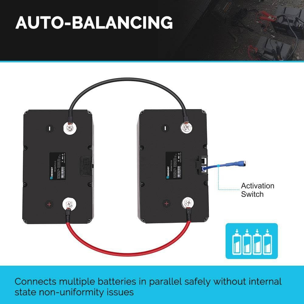 Renogy 12V 100Ah Smart Lithium Iron Phosphate Battery