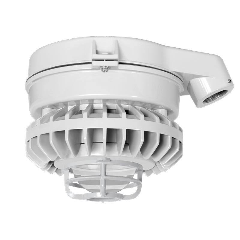 RAB Lighting HAZSLED80C-DG/D10