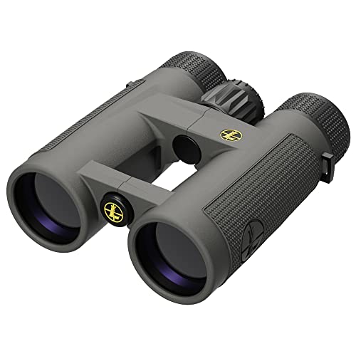 Leupold BX-4 Pro Guide HD Binoculars