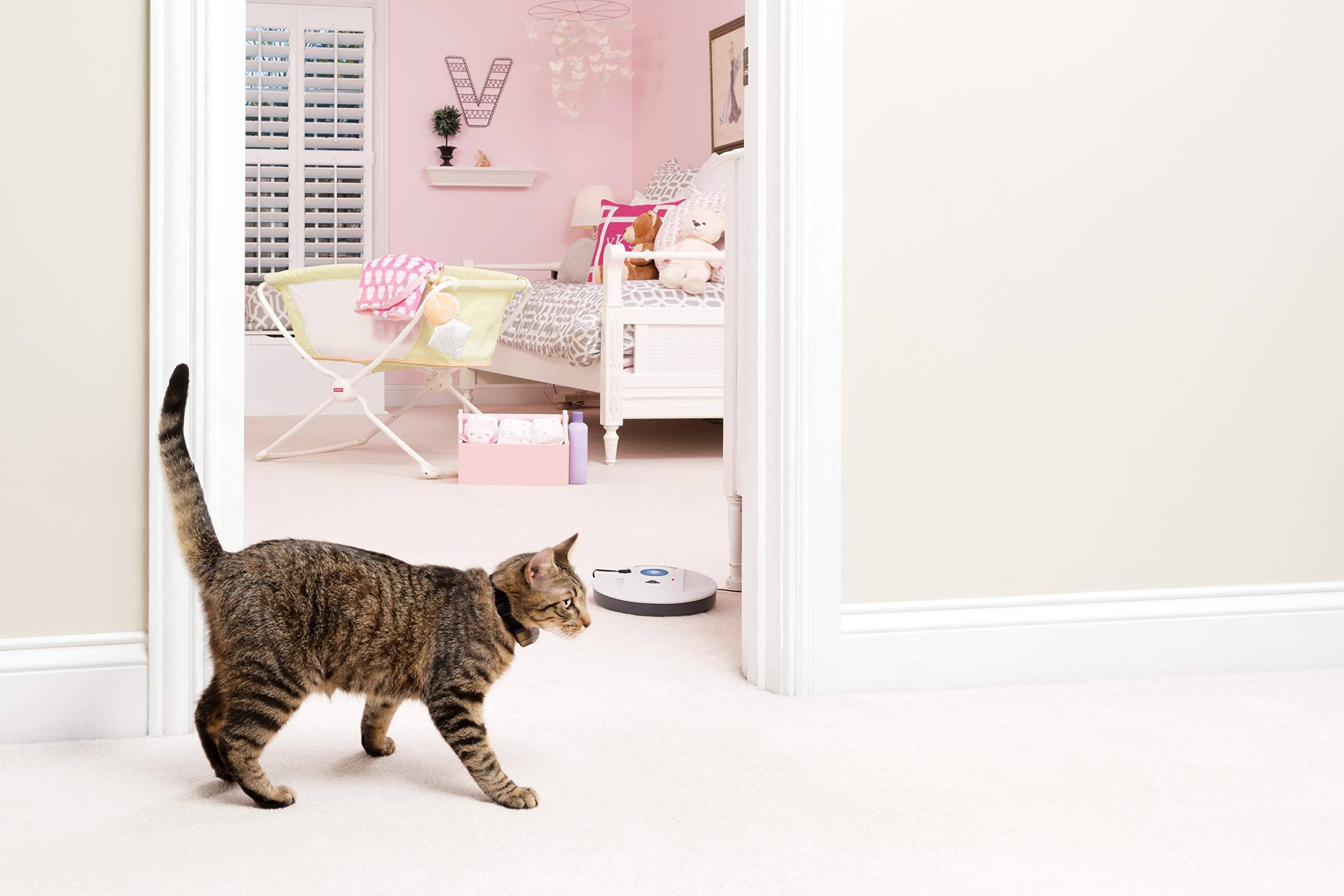 PetSafe ZIRF-100 Indoor Radio Fence Transmitter