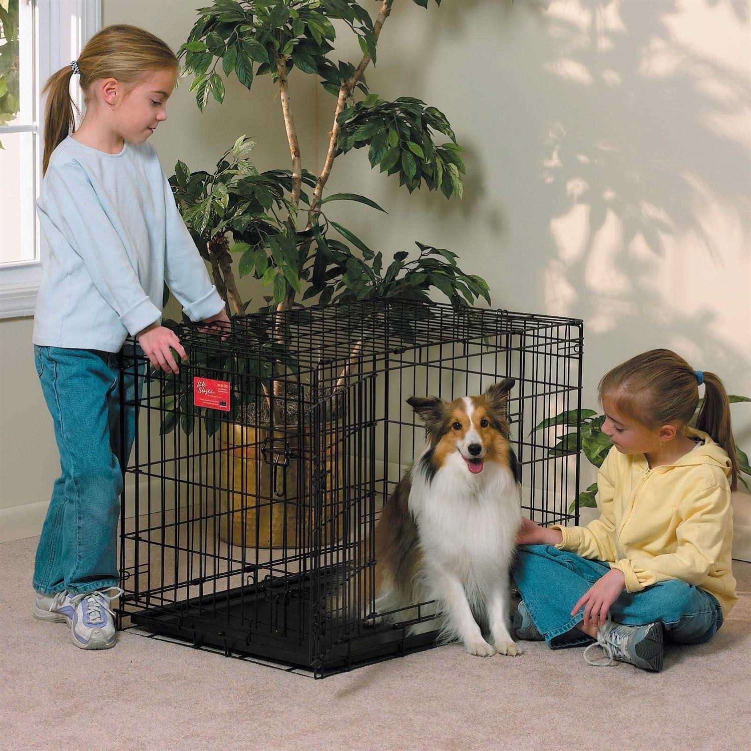 Midwest Life Stages Double Door Dog Crate - Pet Supplies online store