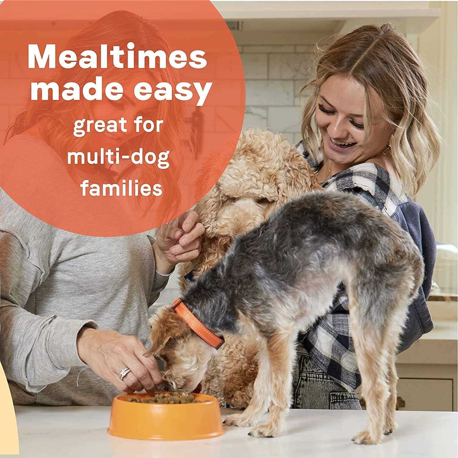 Canidae All Life Stages Dry Dog Food Lamb Meal &amp; Rice - Pet Supplies online store