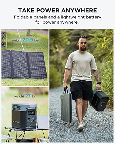 EF ECOFLOW Delta 2 with 220W Solar Panel Bundle