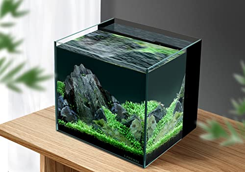 LANDEN Ultra Clear Glass Rimless Low Iron Aquarium Tank with Rear Filtration Chamber for Salt and Fresh Water, Made of All Glass(Return Pump Included)