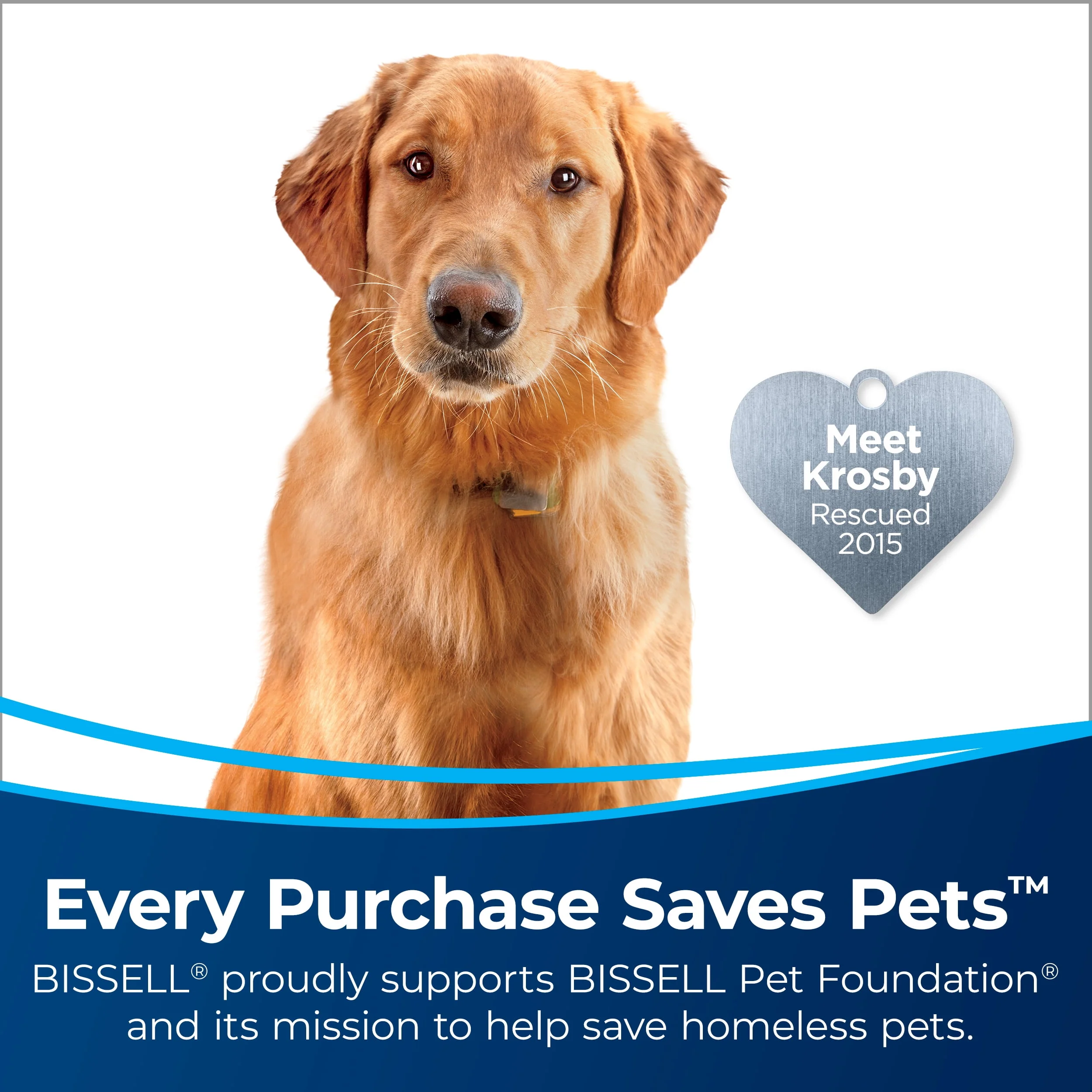 BISSELL Pro Heat 2X Revolution Pet Pro Full-Size Carpet Cleaner 3586