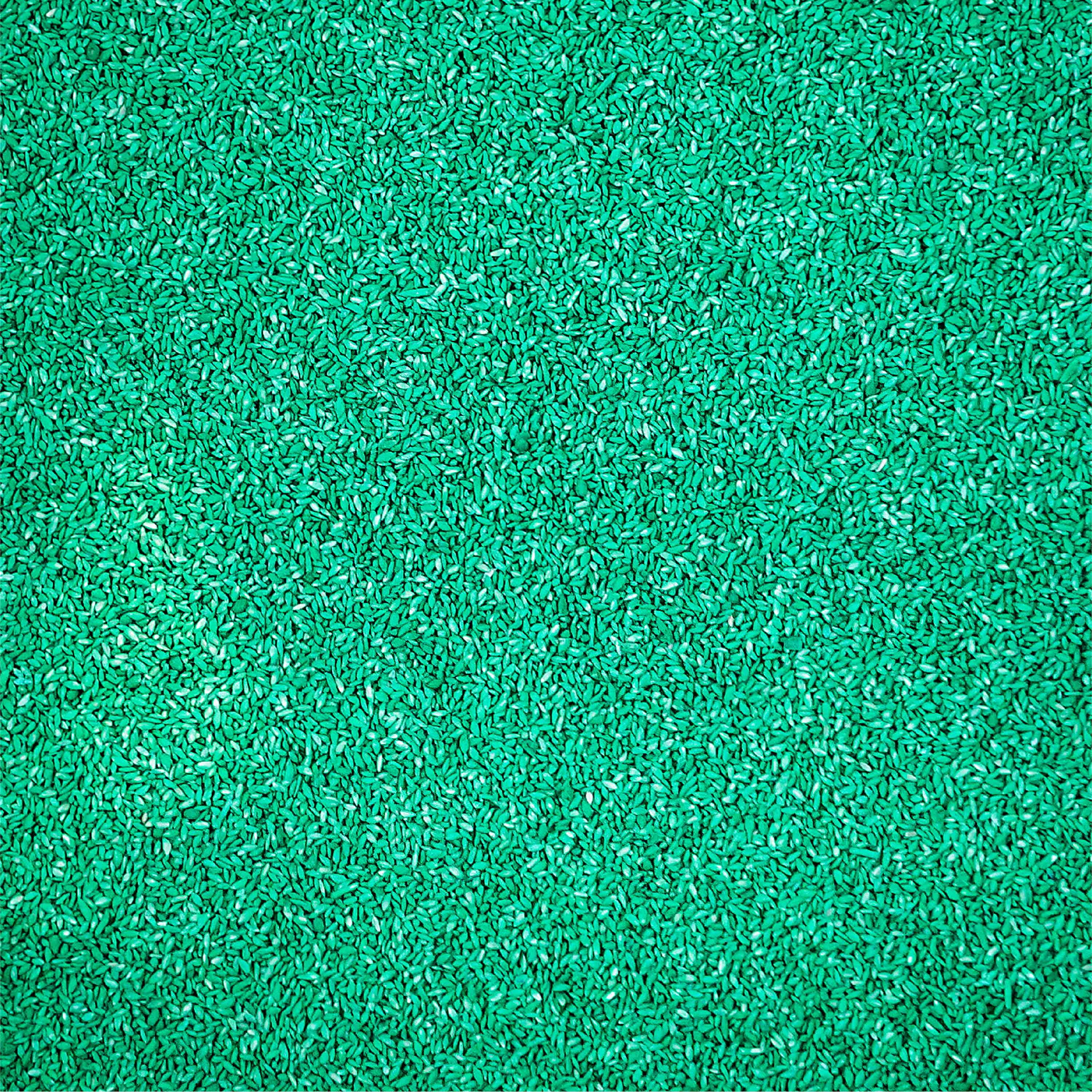 Pennington Sahara Bermudagrass Southern Grass Seed, for Full Sun, 5 lb.
