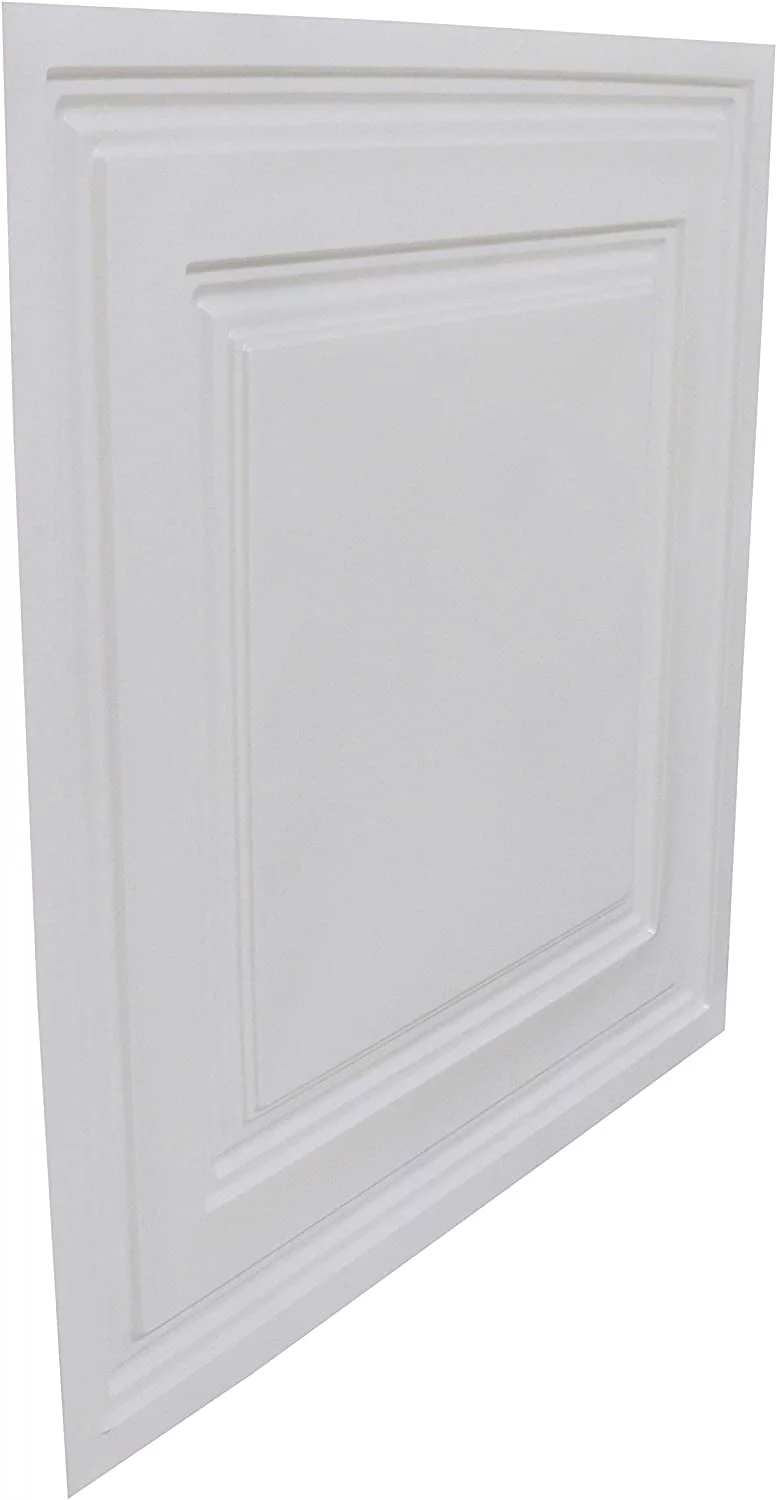 232-Economy 2 ft. x 2 ft. PVC Lay-in Ceiling Tile in Plain White (40 Sq.ft / Pack) - 10 Pieces