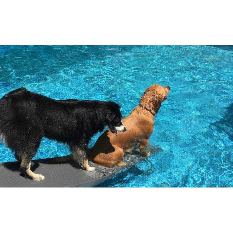 Petstep Pool Bundle - Pet Supplies online store