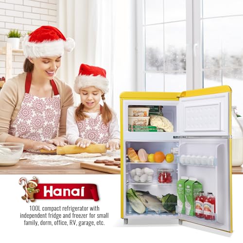 WANAI mini fridge with freezer dual door