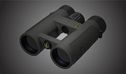 Leupold BX-4 Pro Guide HD Binoculars
