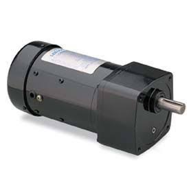 Leeson 096010.00, 1/6 HP, 160 RPM, 115/230V, 1-Phase, TEFC, PE350, 10:1 Ratio, 45 In-Lbs
