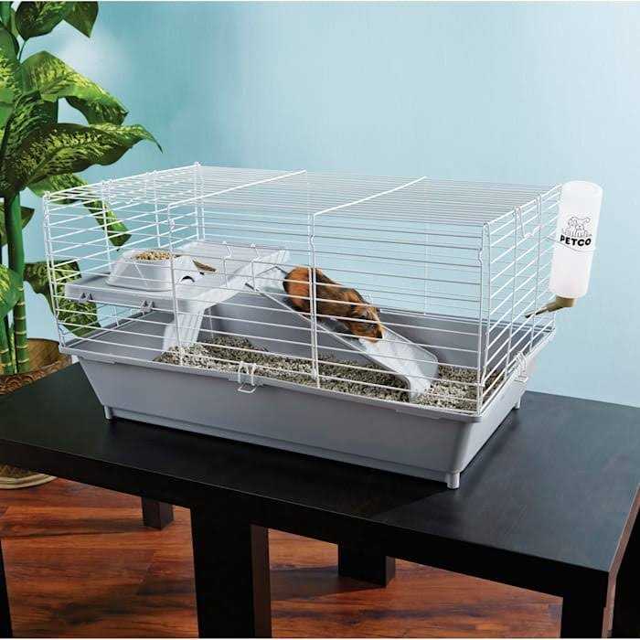 You &amp; Me Guinea Pig Starter Kit - Pet Supplies online store