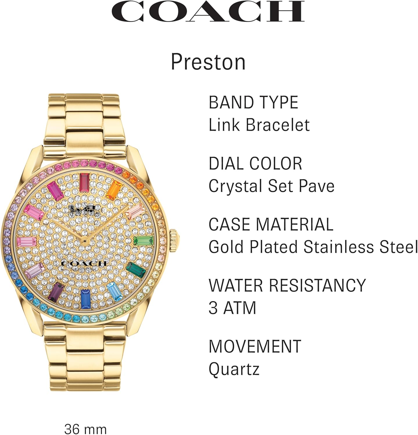 Coach Preston Women's Watch | Touch of Playfulness | Timeless Elegance for Your Everyday Wear (Model 14503657)