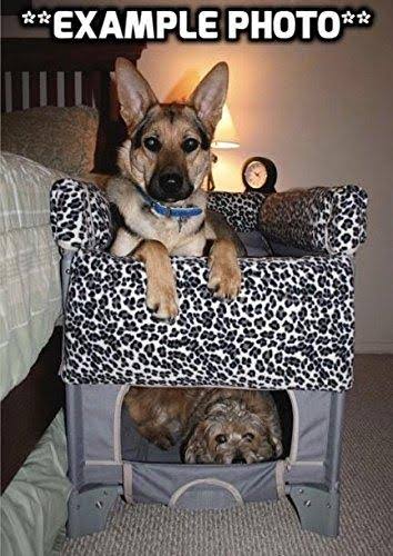 Arm&s Reach Large Duplex Pet Bunk? Bed - Grey Liner