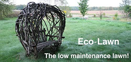 Eco-Lawn Grass Seed Blend Low Maintenance Lawn - 50lb Bag