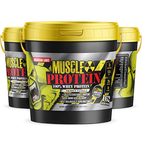 Muscle Protein Whey Powder [12 lbs/Pack of 1]–Chocolate Protein Powder, Cold Filtered, 25g Pure Protein, 6.6g BCAAs (Packaging May Vary)
