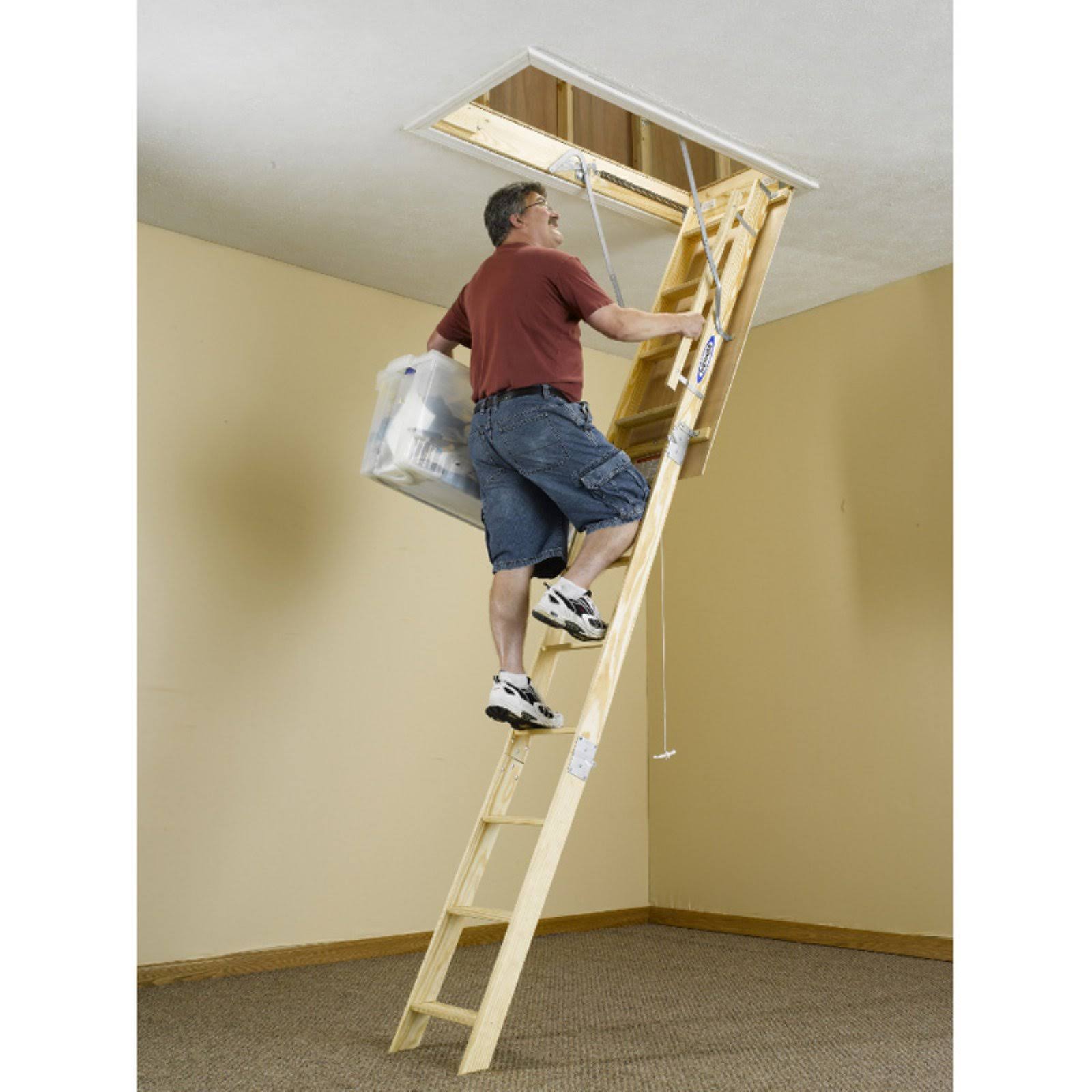 Werner W2208 8& Wood Attic Ladder