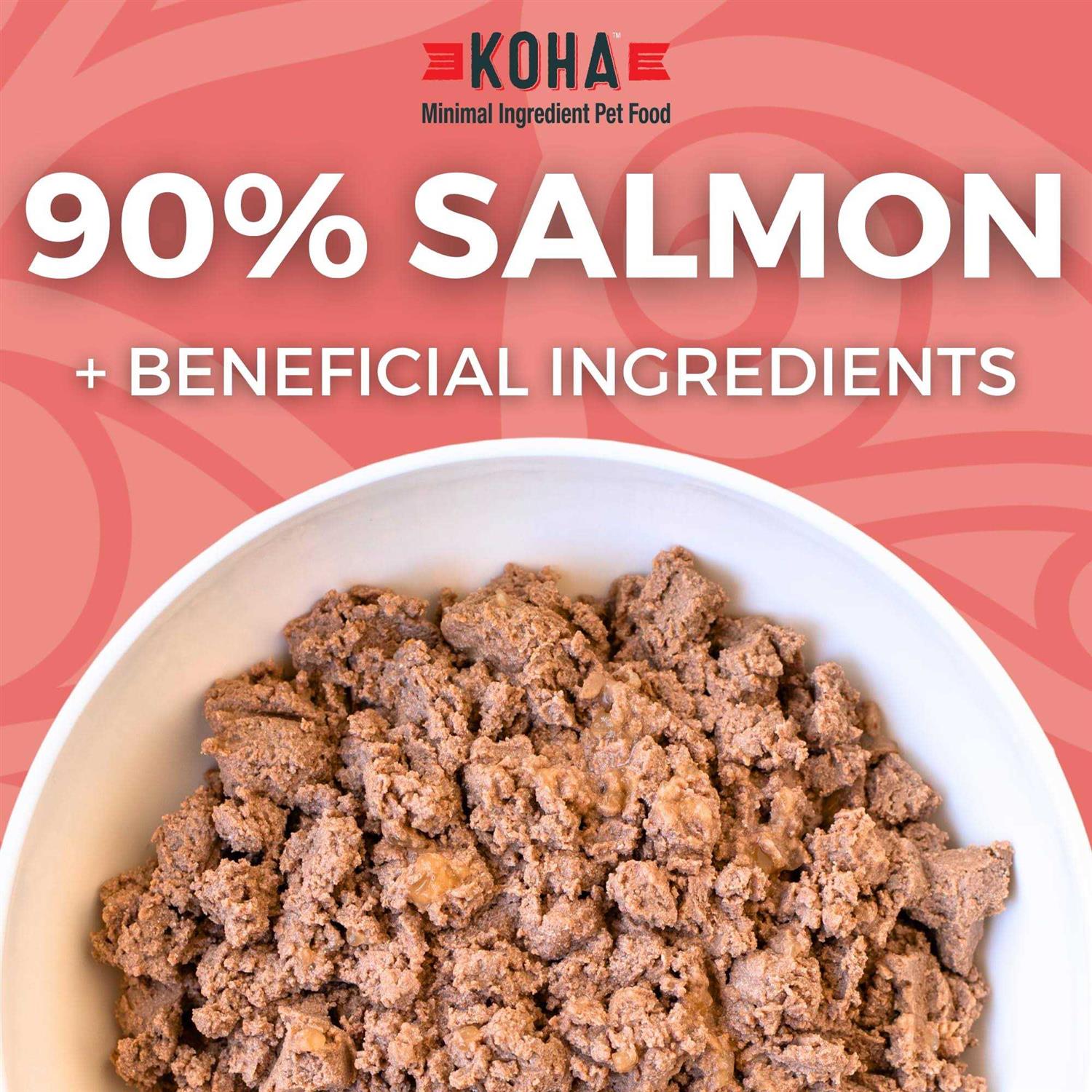 Koha Grain &amp; Potato Free Limited Ingredient Diet Salmon Entree with Pumpkin Canned Dog Food - Pet Supplies online store