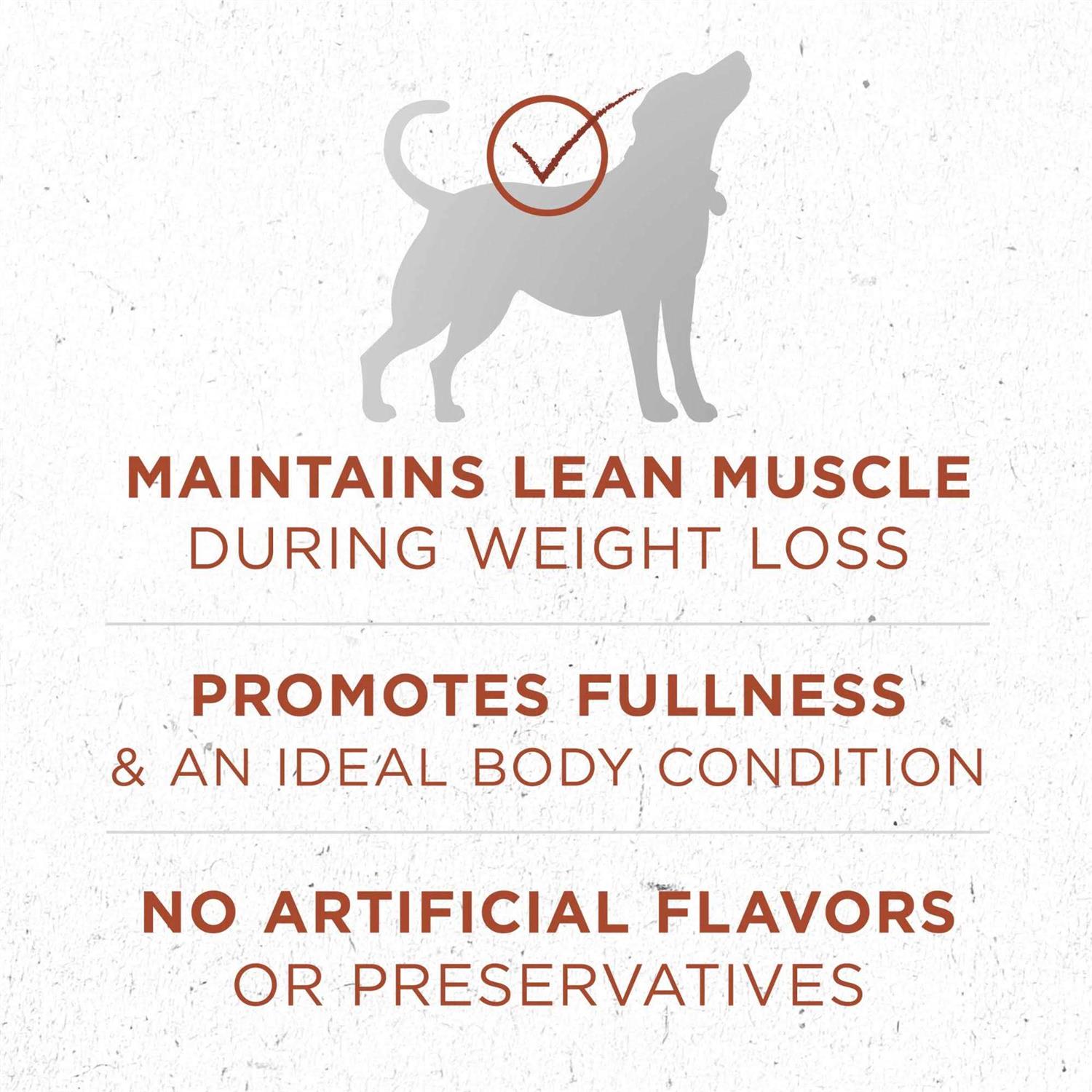 Purina ONE Plus Healthy Weight High Protein Formula Dry Dog Food - Pet Supplies online store