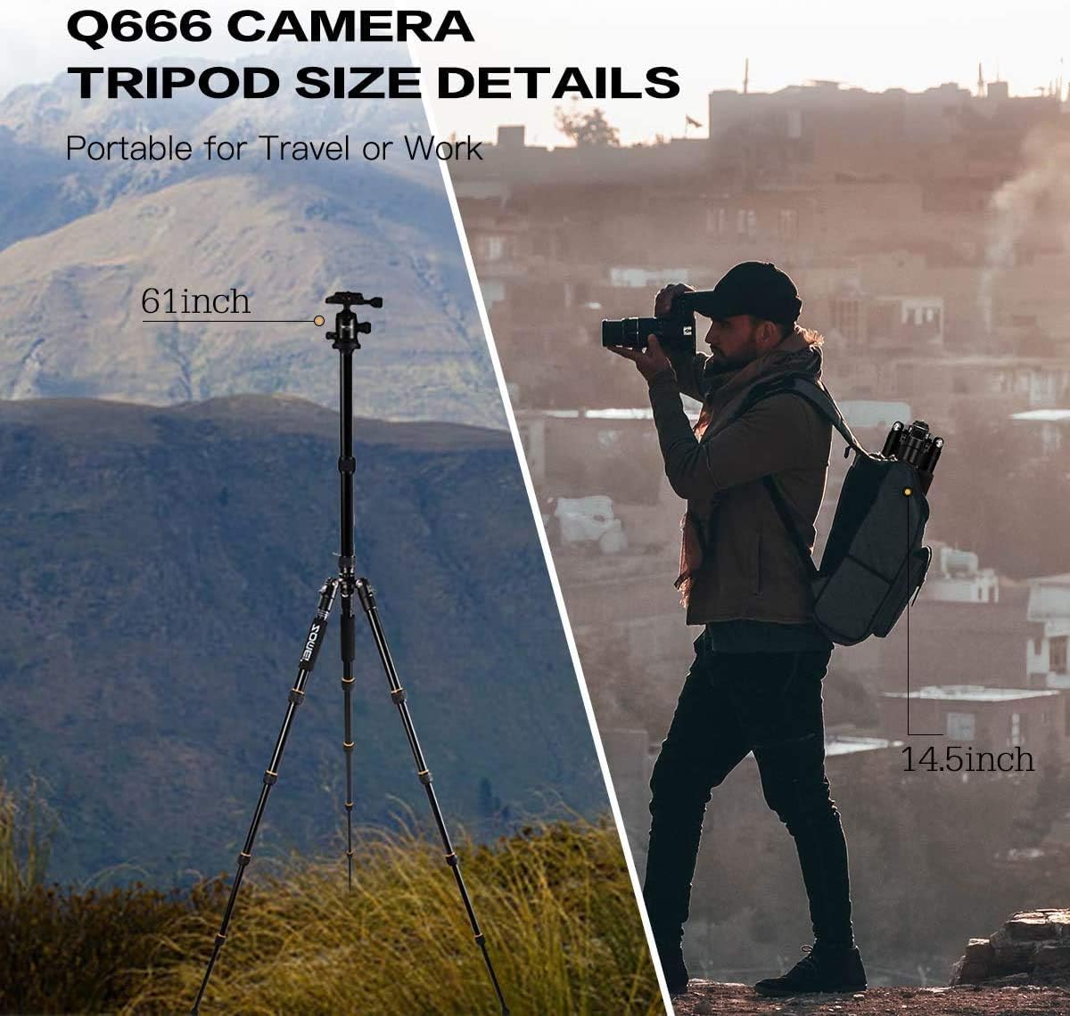 ZOMEi Camera Tripod 62 Light Weight DSLR Tripod with Ball Head Quick Release Plate and Carrying Case (Aluminum Tripod)
