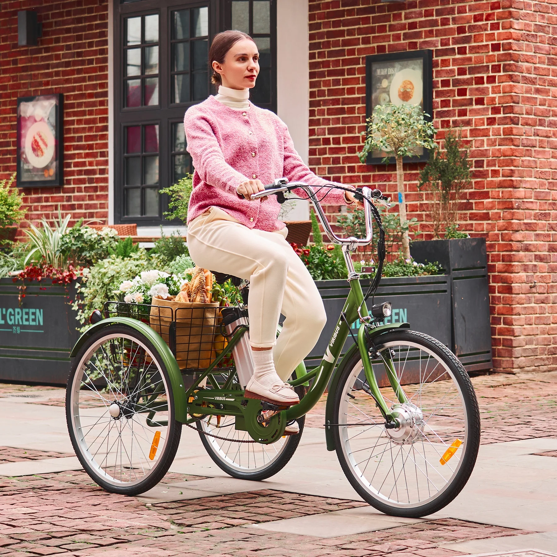 26 Electric Tricycle for Adults 3 Wheel Electric Bike 250W Electric Trike Black
