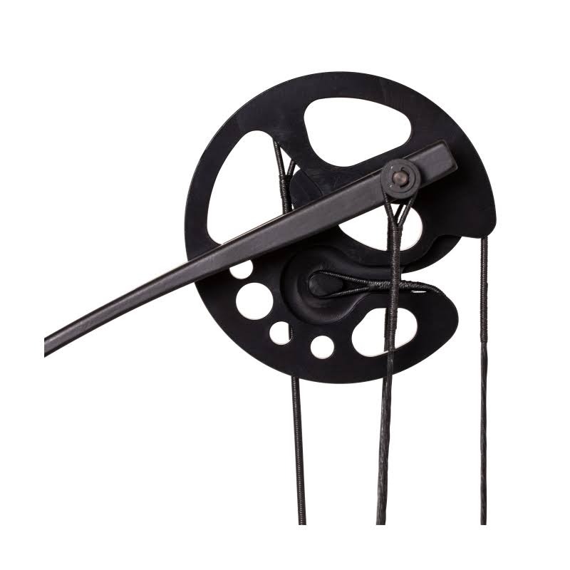 Cajun Shore Runner RTF Bowfishing Package 15-45 lbs. RH