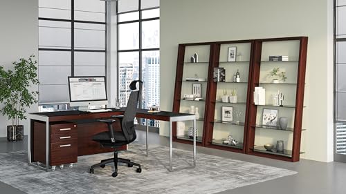 BDI Furniture Eileen 5166-74" x 34.25'' Leaning Shelf for Living Room, Family Room or Office with 5 Polished Tempered Glass Shelves, Charcoal Stained Ash