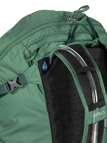 Osprey Skarab Men's Hiking Backpack with Hydraulics Reservoir