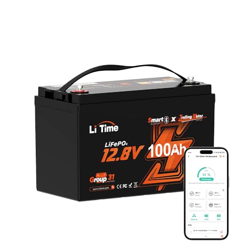LiTime 12V 100Ah LiFePO4 Battery BCI Group 31 Lithium Battery Built-in 100A BMS, Up to 15000 Deep Cycles, Perfect for RV, Marine, Home Energy Storage