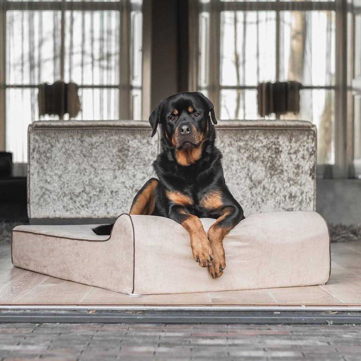 Bully Beds Bully Bed Orthopedic Waterproof Dog Beds - Pet Supplies online store
