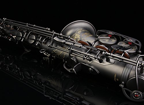 Glory Black Laquer E Flat Alto Saxophone with 11reeds,8 Pads cushions,case,carekit